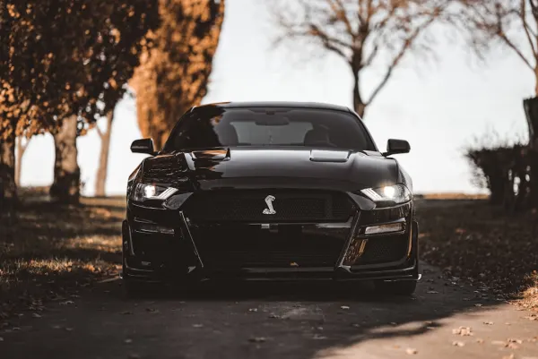 OG Kasino Android/iOS aplikace